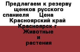 Предлагаем к резерву щенков русского спаниеля.  › Цена ­ 4 500 - Красноярский край, Красноярск г. Животные и растения » Собаки   